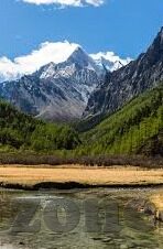 果冻传媒秦可欣视频-探索果冻传媒与秦可欣视频的独特魅力