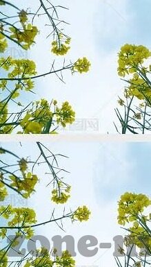 yellow中文字幕2019最新-探索2019年最新黄色中文字幕的多元魅力