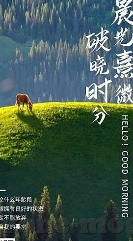 最近中文字幕视频网-探索网络视频新视界，最近中文字幕视频网